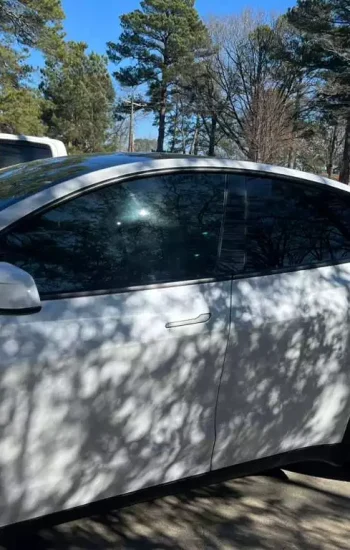 WhatsApp Image 2026-03-05 at 18.45.51